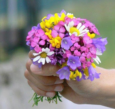 صور ورد, خلفيات ورد, صور ورود, اجمل ورد