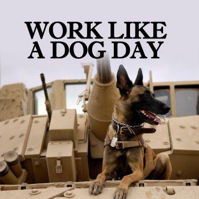 Work Like a Dog Day Work Like a Dog Day