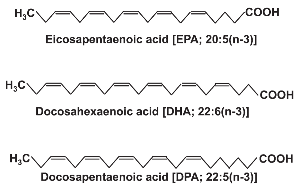 FOOD SCIENCE N3 Fatty acids DHA and EPA
