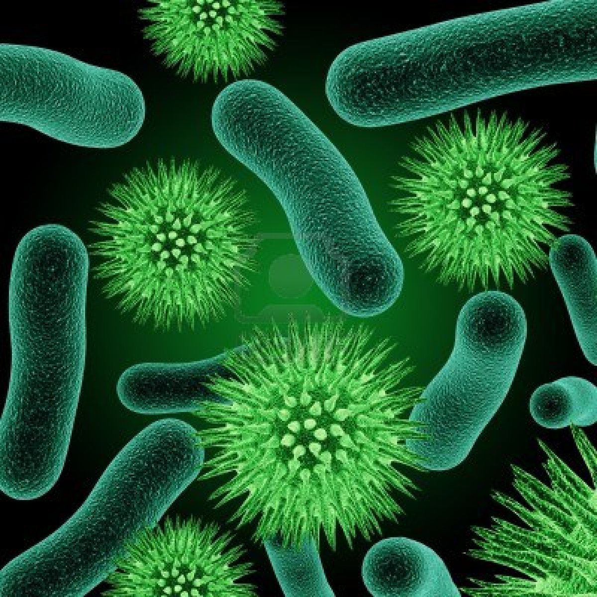 La Importancia De Las Bacterias Images