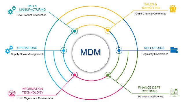Master Data Management (MDM) Software