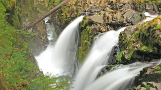 Water Fall in Forest 