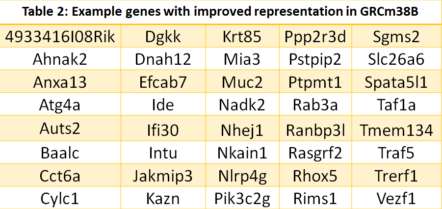 Genomeref Readying The Release Of Grcm39