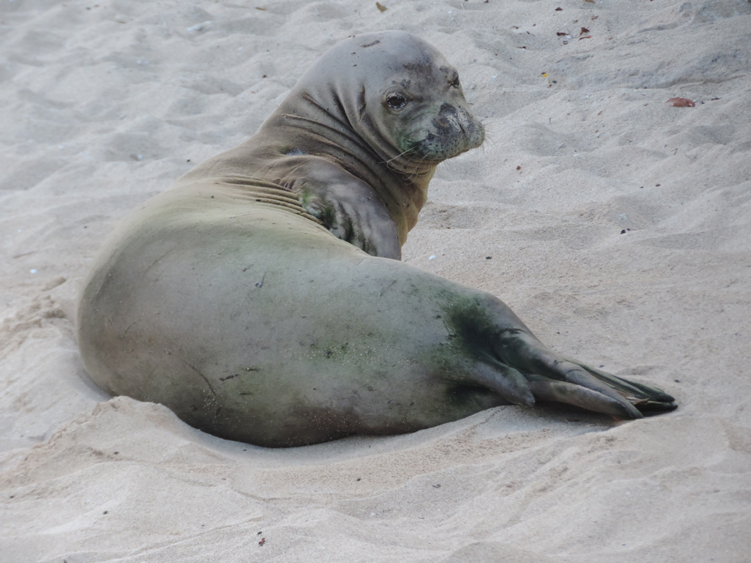 8122013 Team Billand Pohaku & Benny at