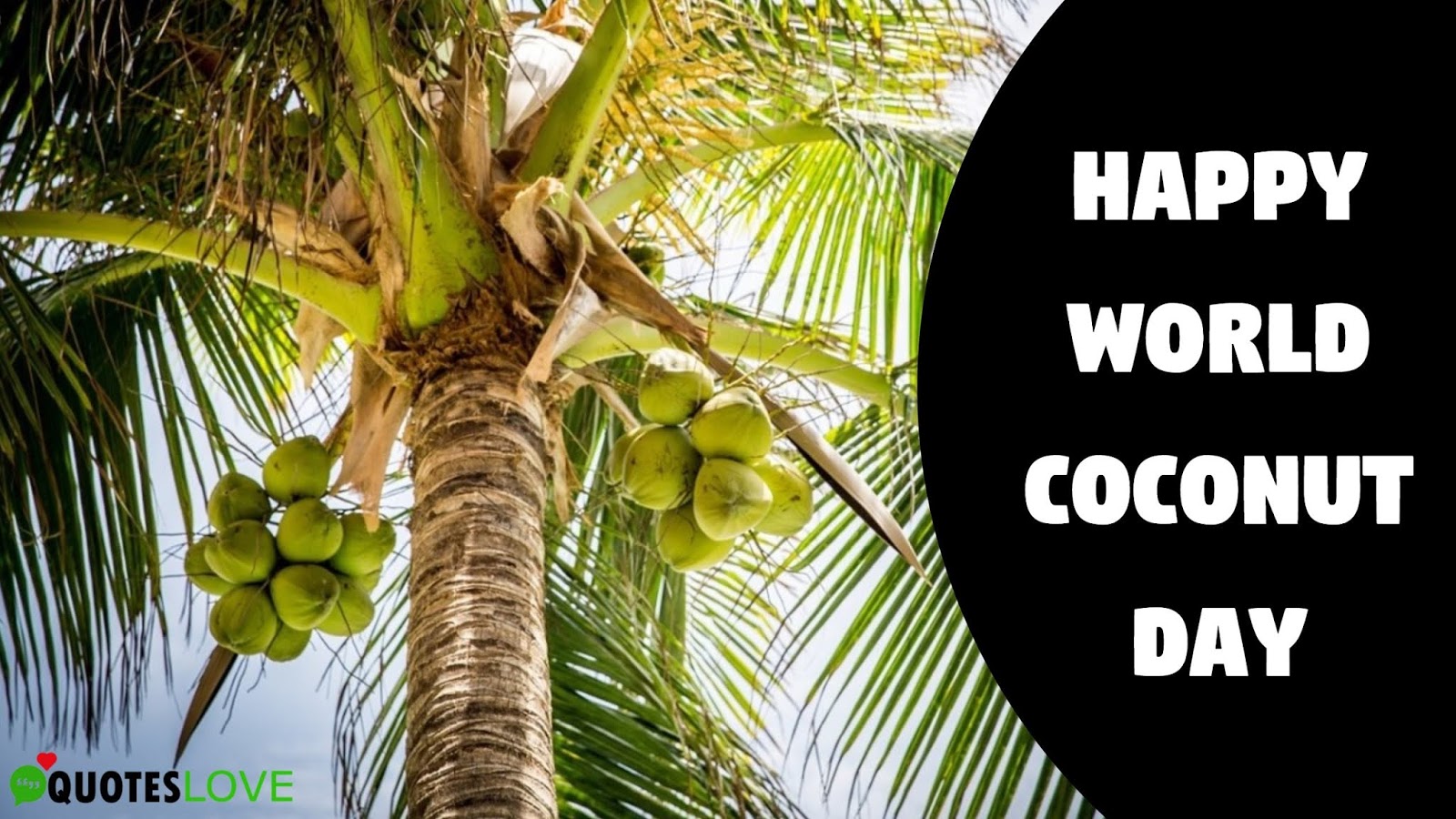 30+ Best Happy World Coconut Day 2019 Wishes, Quotes, Images And Messages For You