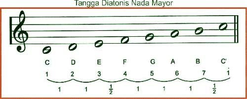 Tangga Nada Diatonis Diatonik Seni Musik