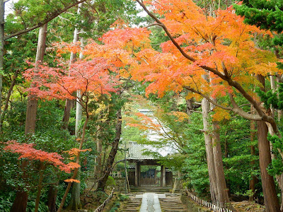 壽福寺の紅葉