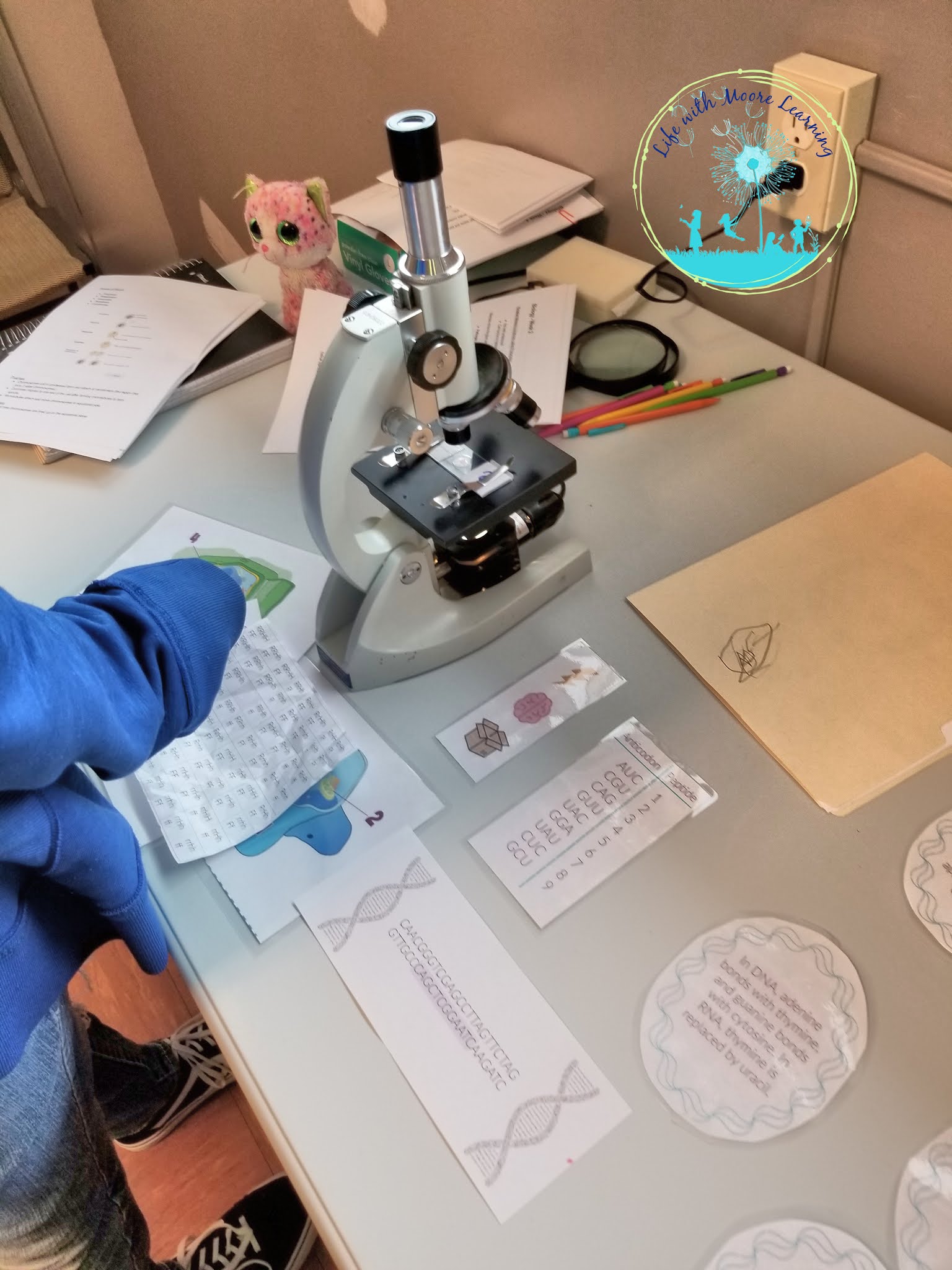 Review High School Biology with this Free Escape Room Life with Moore