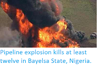 https://sciencythoughts.blogspot.com/2015/07/pipeline-explosion-kills-at-least.html