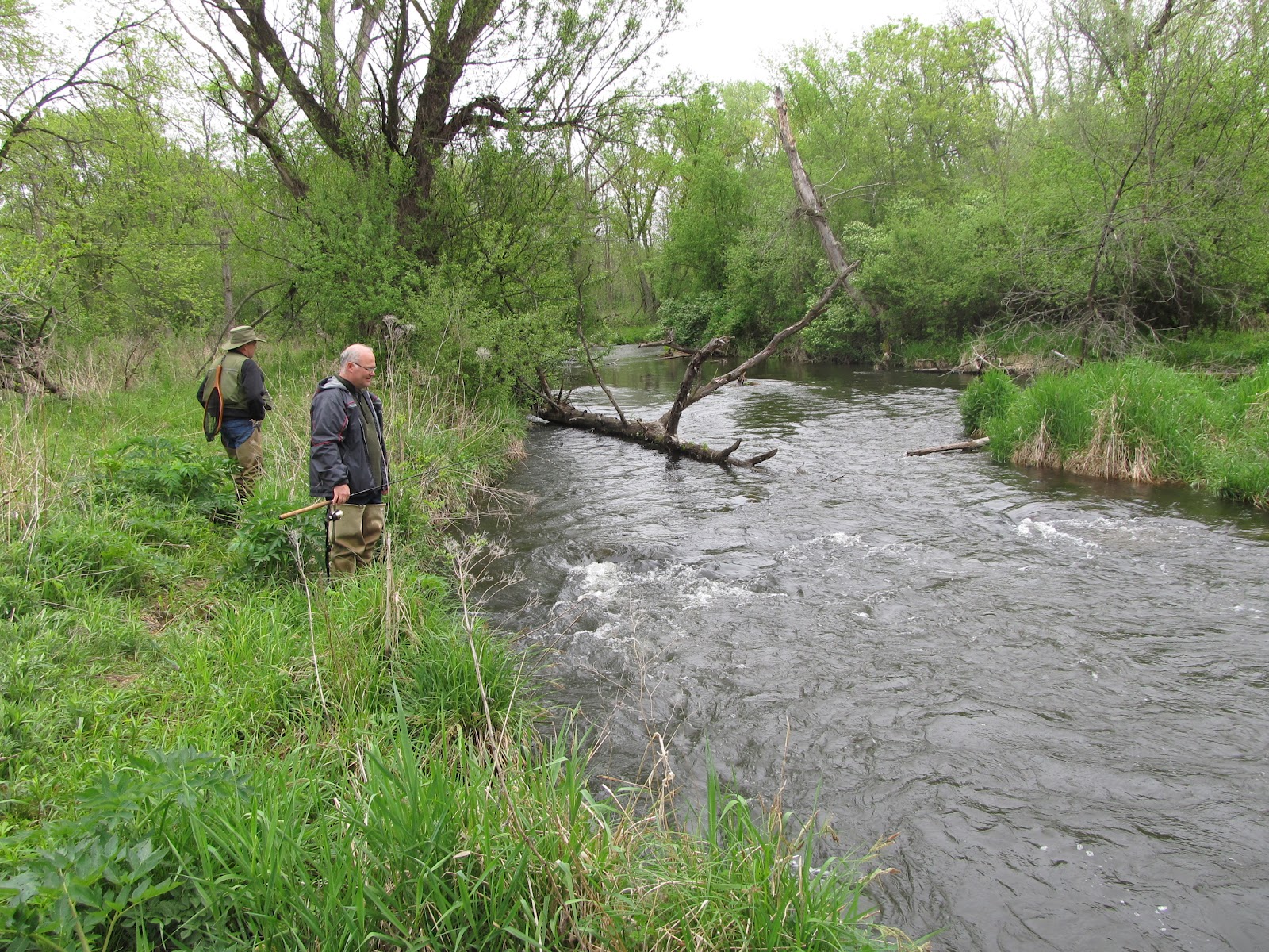 Midwest TwoHearted Trout Opening Day on the Willow River Wisconsin