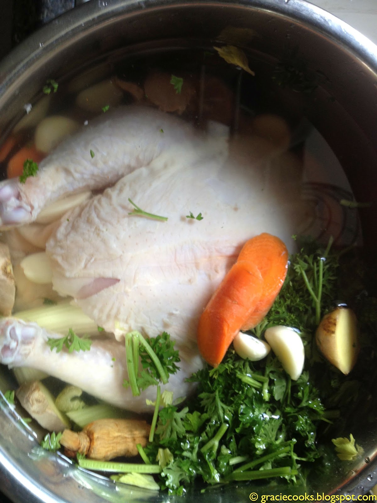 Gracie Cooks Hearty 30 Minute Chicken Soup The Instant Pot Chronicles