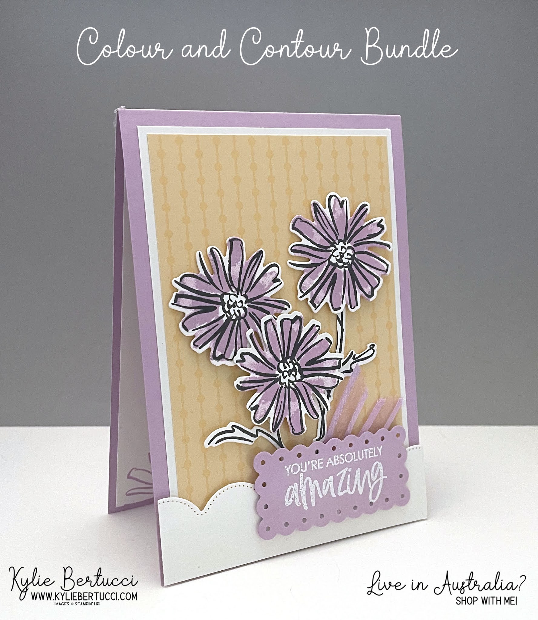 Colour and Contour Bundle You're Absolutely Amazing Kylie Bertucci