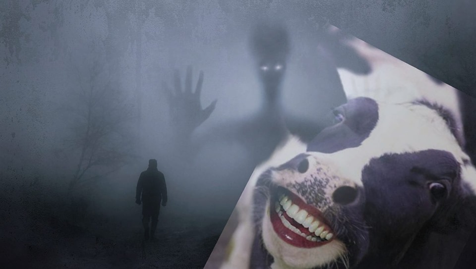 شكون مشافش هاد لفيديو