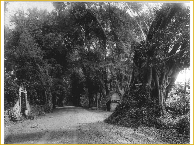 Warung KOPI Pasuruan: Sejarah Pemandian Alam Banyu Biru ...