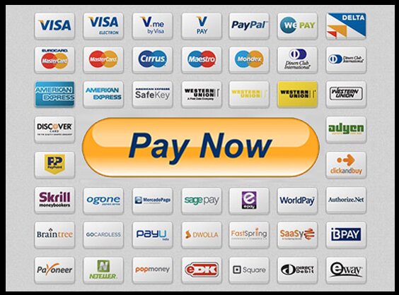 make payment online