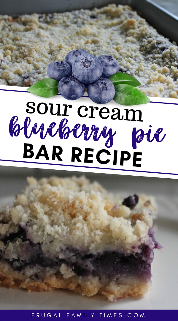 Sour Cream Blueberry Pie Bar Recipe Frugal Family Times