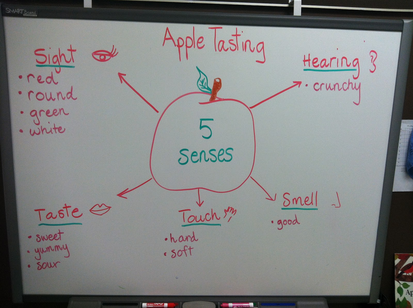Ms. Clark Apple Tasting Using Our Five Senses A Visual, Auditory