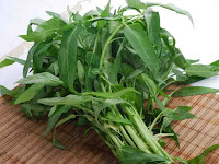 Yuk Simak, Begini Cara Tepat Merawat Tanaman Kangkung Yuk Simak, Begini Cara Tepat Merawat Tanaman Kangkung