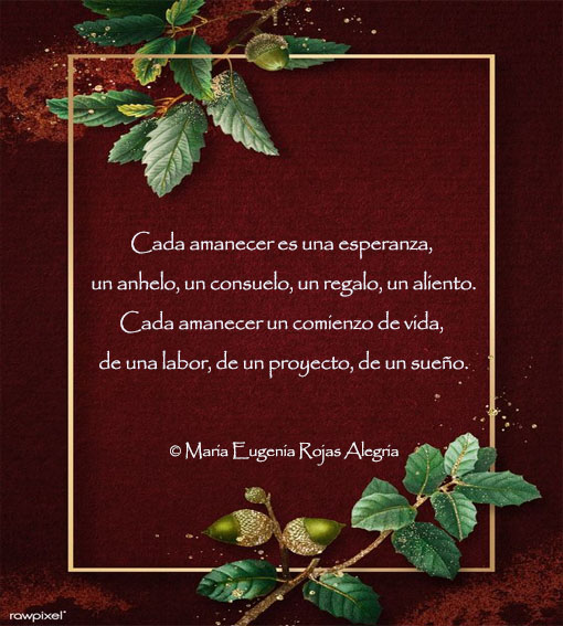 Ver las imágenes de origen