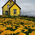 PHOTOGRAPHY: Abandoned Yellow House in Nova Scotia.