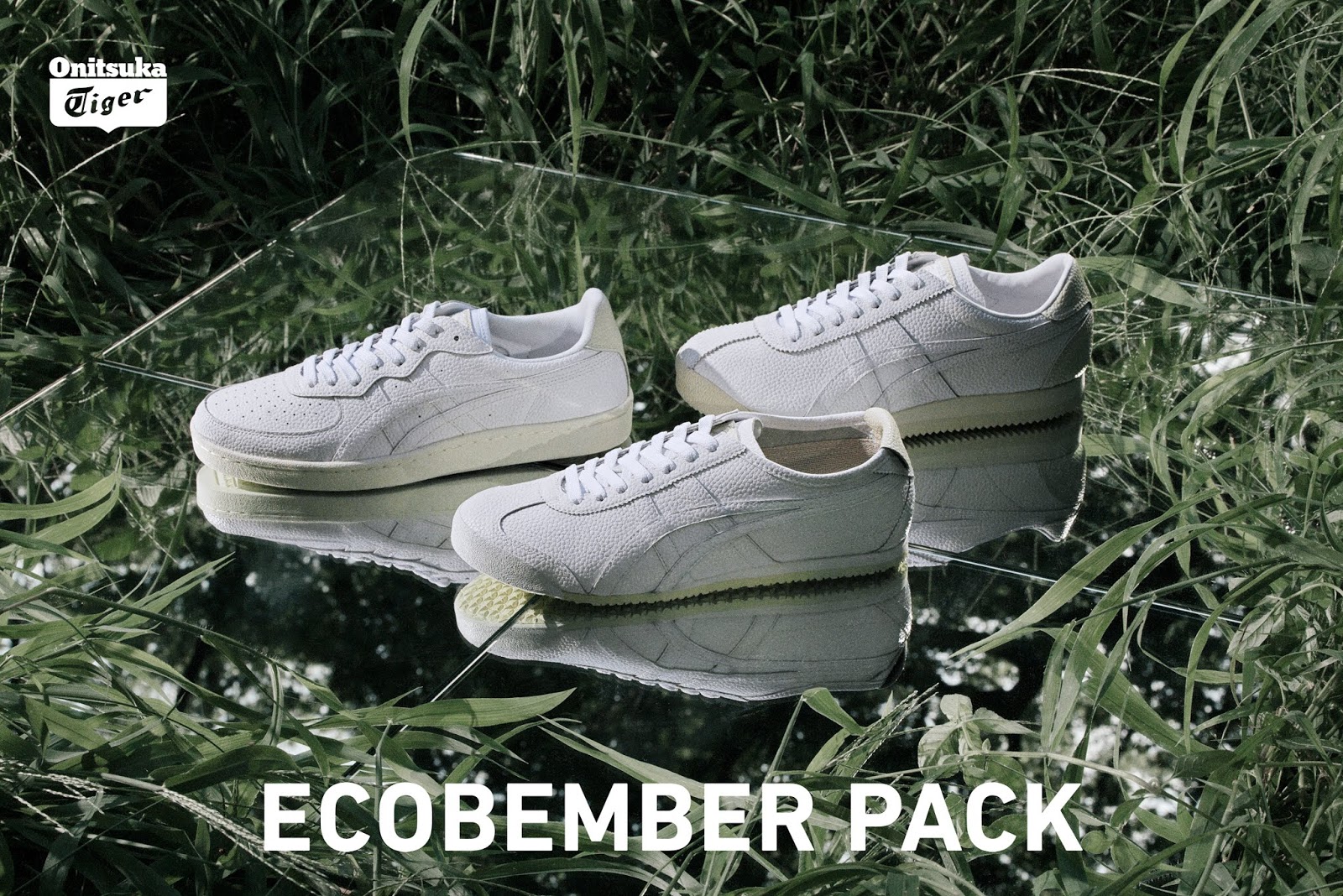 onitsuka ecobember