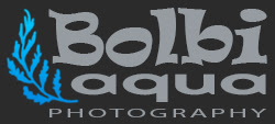 Bolbi Aqua Photography