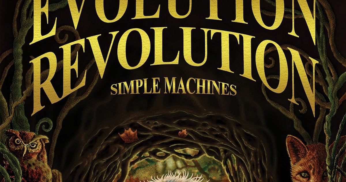 Author on the Loose The War in the Woods!