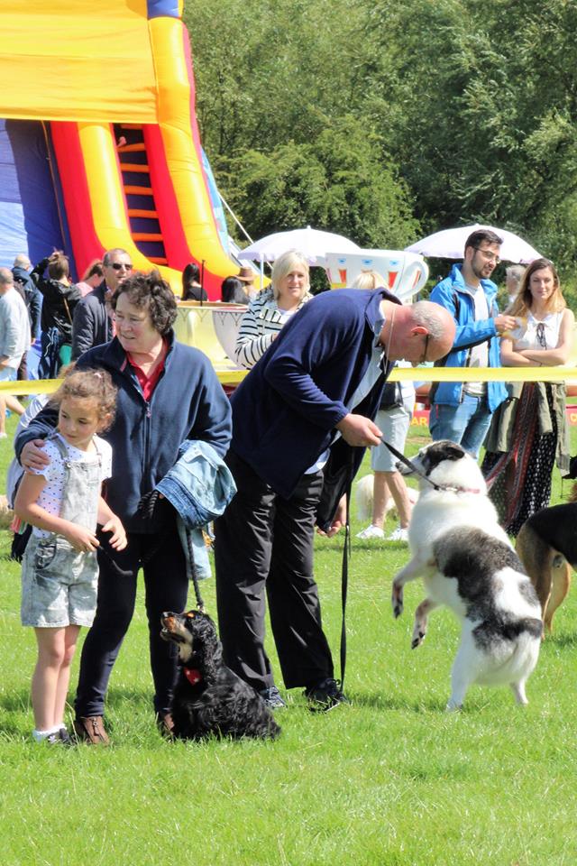 Dogs Trust Wymeswold Fun Day Dogs Trust Wymeswold Fun Day