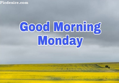 Good Morning Monday | 15+ Best Good Morning Monday Images Good Morning Monday | 15+ Best Good Morning Monday Images