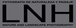 Blog de la Revista "La naturaleza habla"