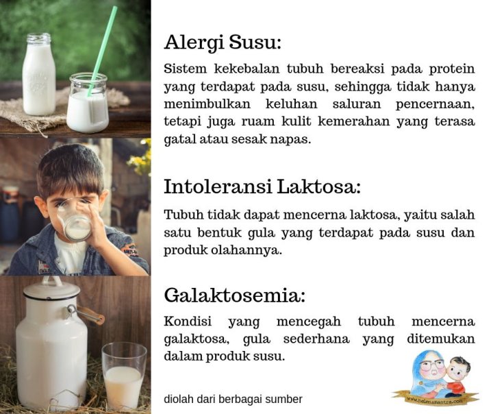 Perbedaan Alergi Susu Sapi Dan Intoleransi Laktosa Info Tentang Susu
