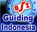 BSI Guiding Indonesia