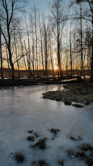 HD wallpaper Dawn, Stream, Ice, trees, nature