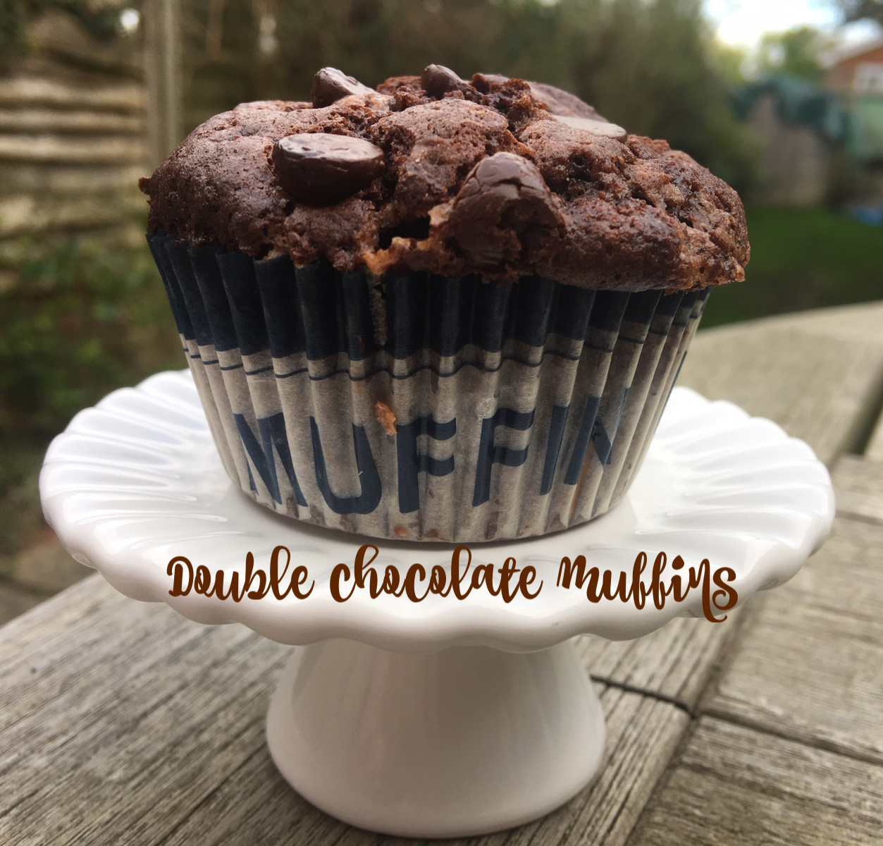 Passion for Baking Double Chocolate Muffins