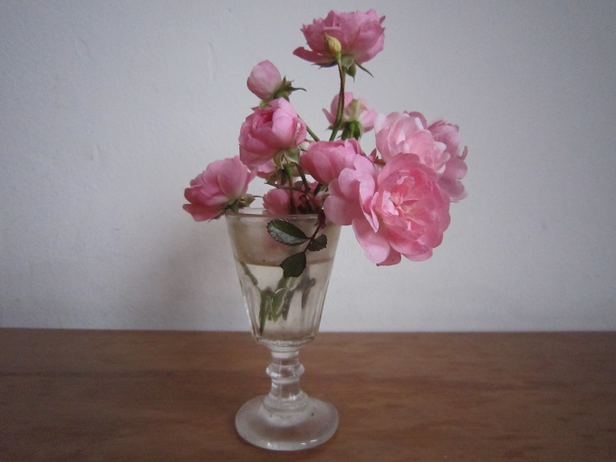 La Fleur du Dimanche: Réveillez-vous... et rêvez votre futur La Fleur du Dimanche: Réveillez-vous... et rêvez votre futur