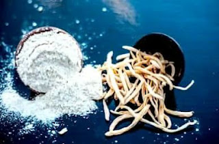 शतावरी के फायदे एवम् उपयोग शतावरी