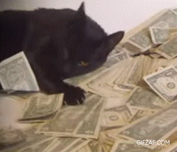 Rolling in Money Gif | Rolling Around in Money Gif