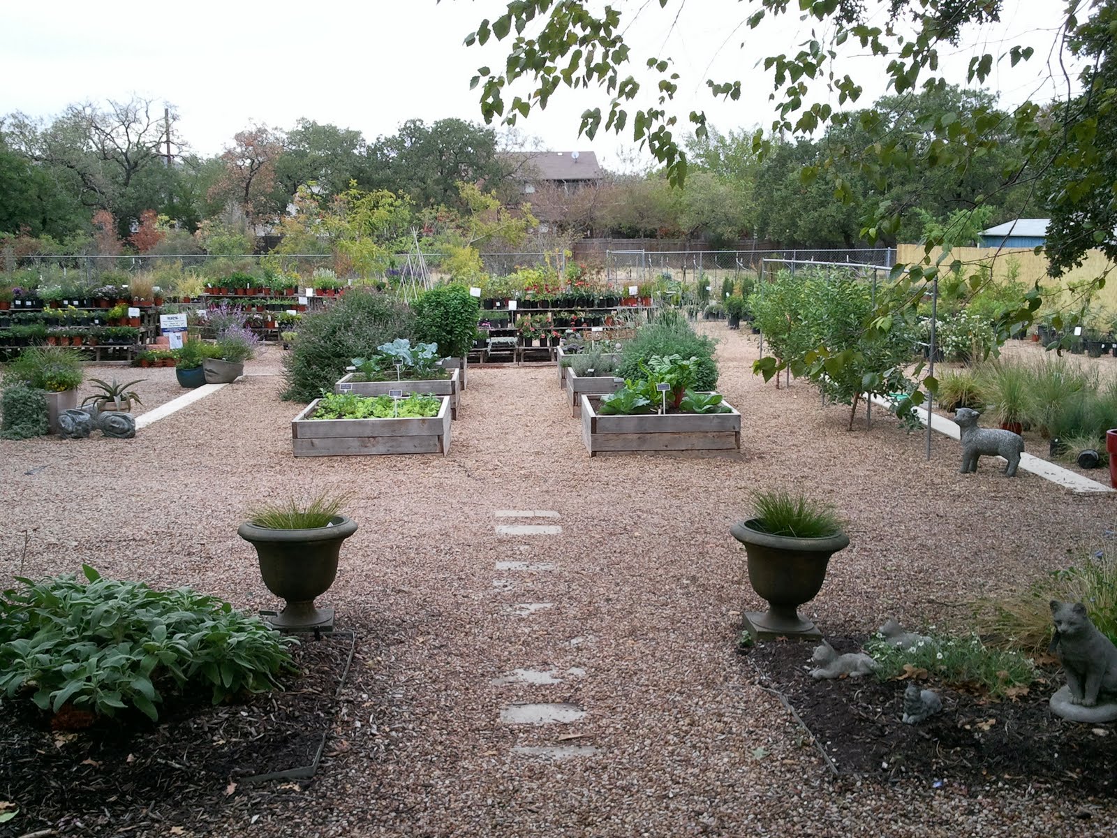 Texas Tufa: Redenta's Garden