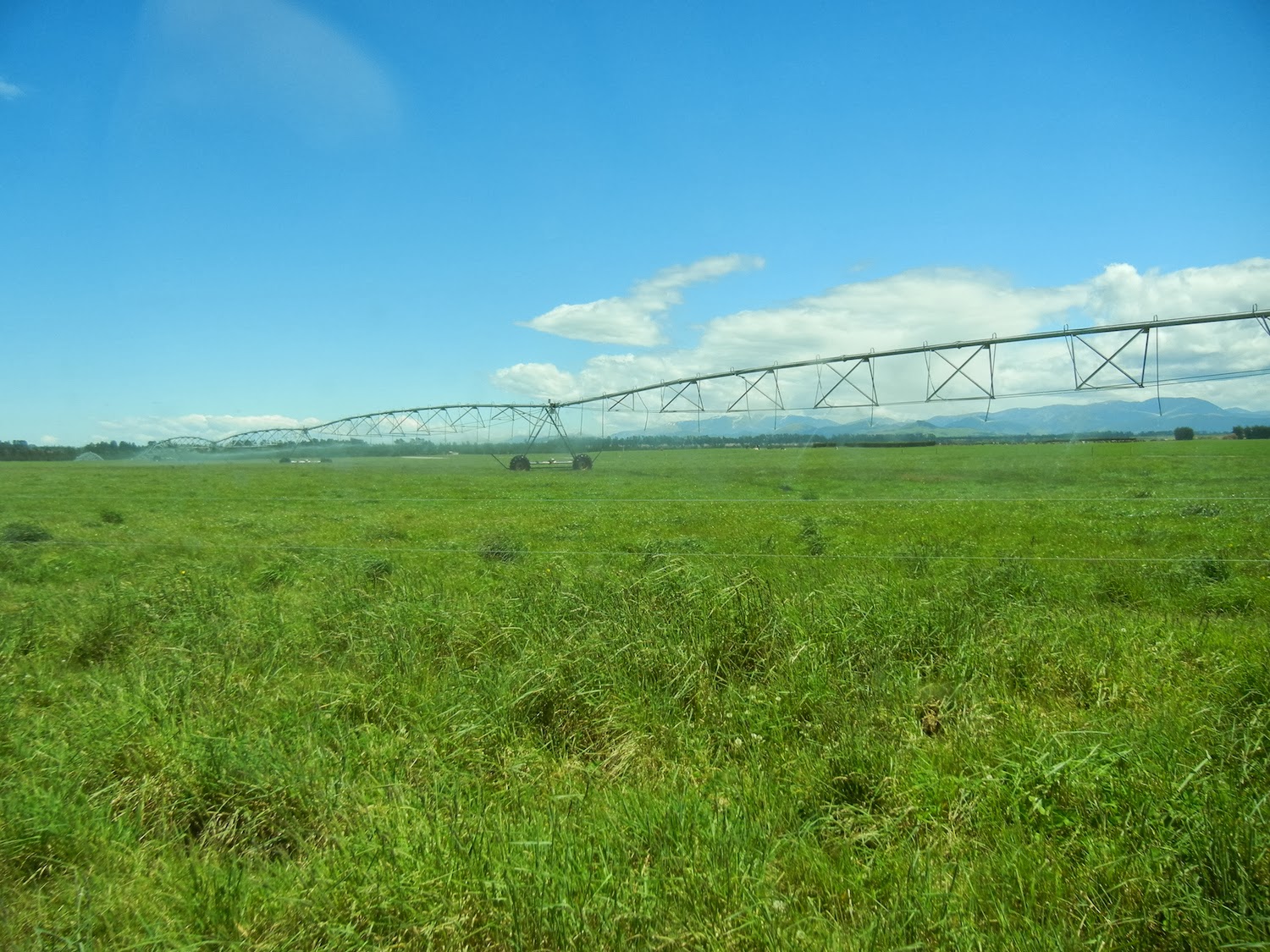 KauaiEclectic Details on the New Dairy