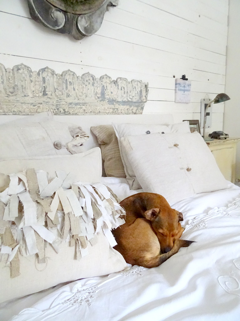 princessgreeneye: Juli 2020