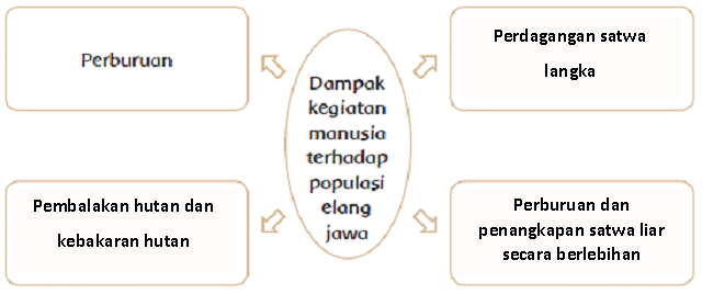 Kunci Jawaban &quot;Konservasi Elang di Halimun Salak