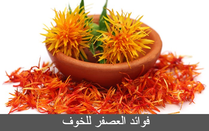 أشياء لا تعرفها عن فوائد العصفر للتخوف