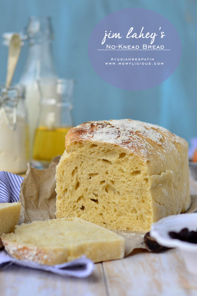 Jim Lahey's NoKnead Bread Momylicious