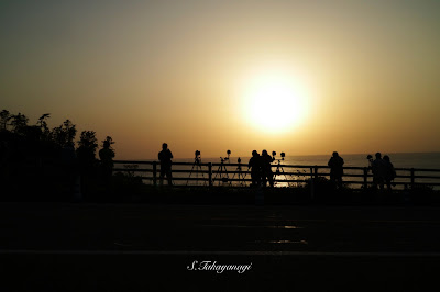 白米の千枚田　日本海　夕日