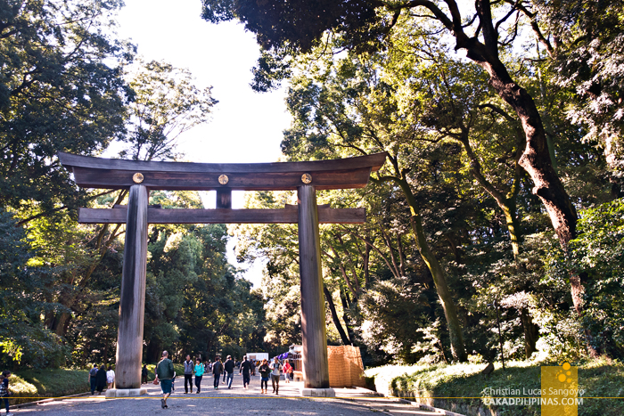 Tokyo Day Tour Meiji Shrine