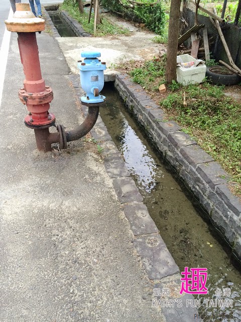 新竹縣北埔鄉。田野情趣南埔村生態體驗行 - 第43張圖