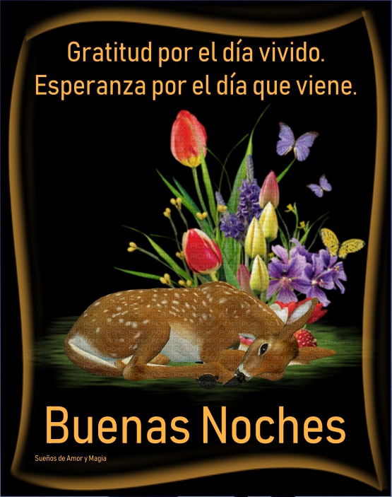 Suenos De Amor Y Magia Buenas Noches Dulces Suenos Bendiciones Buenas noches a todospasen una exelente noche y dulces suenos ⭐⭐⭐. amor y magia buenas noches dulces