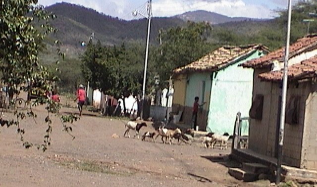 PUEBLO  DE  NEGR@S VENEZOLANO