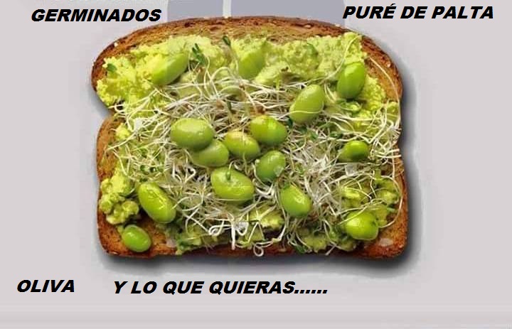 TODAS LAS RECETAS : BOCADITOS VEGANOS PARA ESTAS FIESTAS TODAS LAS RECETAS : BOCADITOS VEGANOS PARA ESTAS FIESTAS