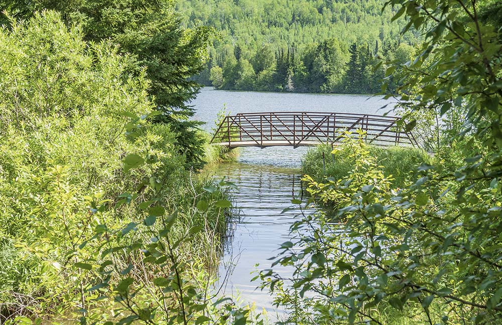 Merikay's Dream Nipigon?